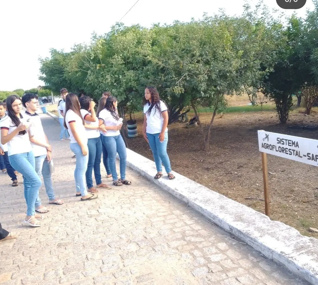 Leia mais sobre o artigo Sistema Agroflorestal de São José do Seridó completa 11 anos com colheita recorde e protagonismo na merenda escolar
